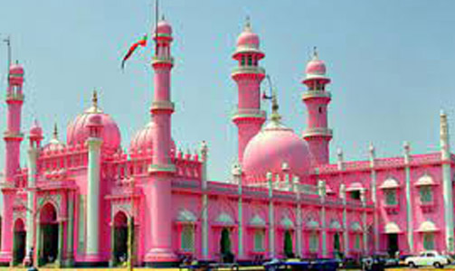 JamaPalli_image